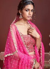 Wonderful Lehenga Choli in Pink